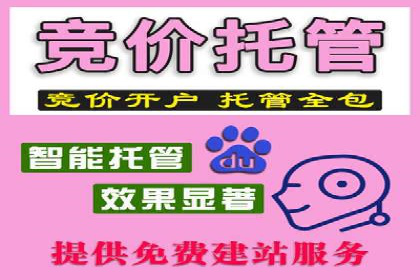 精准投放，sem竞价代运营的五大成功投放案例